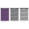 Alphabet Set - Wanna This Blackline Alphabet And Number Sticker Set