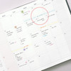 Monthly plan - Indigo 2021 Official big dated monthly planner scheduler