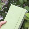 Soft Green - ICONIC 2021 Brilliant dated daily diary planner