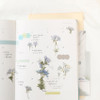 Usage example - Appree Moss phlox pressed flower sticker