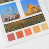Meri Film Autumn color chips translucent sticker set