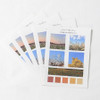 Meri Film Autumn color chips translucent sticker set
