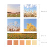 Size - Meri Film Autumn color chips translucent sticker set