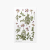 Appree Astragalus sinicus pressed flower sticker