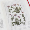 Appree Astragalus sinicus pressed flower sticker