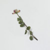 Appree Astragalus sinicus pressed flower sticker