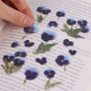 Appree Pansy pressed flower sticker