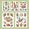 NACOO Bird Self-Cut Paper And Clear Sticker Set