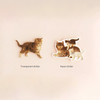 2 type stickers - NACOO Cat self-cut paper and clear sticker set