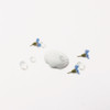 Usage example - Appree Seashell Nature Clear Sticker