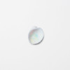 Appree Seashell Nature Clear Sticker