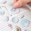 Appree Seashell Nature Clear Sticker