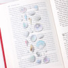 Appree Seashell Nature Clear Sticker