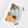 Usage example - Appree Rainbow Light Nature Clear Sticker