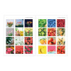 Tulip, Fruits - Dailylife Photo Paper Sticker Pack of 60 sheets