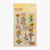 APPREE Botanical Yellow Rub-On Sticker Pack