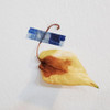 Usage Example of Universal Condition Denim Patchwork Paper Masking Tape