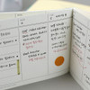 usage example of Paperian Flat Pocket Dot Grid Notebook