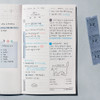 daily - After The Rain Daily Sequence 1 month Undated Planner