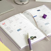 Monthly plan - Iconic 2026 Simple Medium Dated Weekly Planner