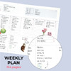 Weekly Plan - ICONIC 2027 Record On A5 Dated Weekly Diary Planner
