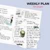 Weekly Plan - ICONIC 2027 Record On B6 Dated Weekly Diary Planner