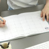 A4 size - Iconic 2026 Record On A4 Dated Monthly Planner