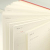 100gs paper - Paperian 2025 A'round The Day Large Dated Weekly Planner