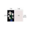 Size of 2026 Dong Dong Long Dated Weekly Planner Diary
