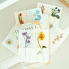 Indocyder Capture The Flowers Clear Bookmark Set