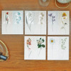 5 options - Indocyder Capture The Flowers Clear Bookmark Set