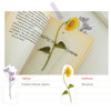 01 Saffron, Sunflower - Indocyder Capture The Flowers Clear Bookmark Set