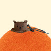 Miffy Boris Small Hat Zipper Pouch with Strap
