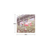 Size - DALPAPER Jeju Circle Paper Sticker Pack