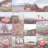 DALPAPER Jeju Circle Paper Sticker Pack