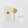 Somssi Paper Flower Mimosa Letter And Envelope Set