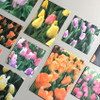Mingkit Tulip Paper Sticker Pack