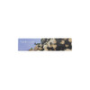 Bonne Journee Hydrangea Bookmark