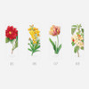 12 option - NACOO Flower Clear Bookmark