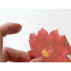 Round edge - NACOO Flower Clear Bookmark