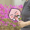Apeach - Kakao Friends Summer Fruity Hand Fan