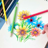 Usage example of Il Jeong Auto 12 Colored Pencil Pack