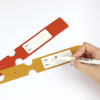 Back Panel - Fenice Lettering Travel Luggage Tag