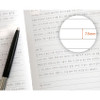 Lined Notebook - Iconic Souvenir B6 Lined Notebook With Band