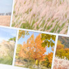 Pack of 10 Stickers - Mingkit Autumn Photo Sticker Pack