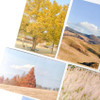 Photo Stickers - Mingkit Autumn Photo Sticker Pack