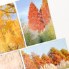 Square Stickers - Mingkit Autumn Photo Sticker Pack