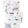 100 sheets - sand cake Cryon Doodle Memo Pad