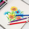 Usage example of Il Jeong Slim Mechanical Color Pencil Set
