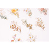 Gold Accent Sticker - Appree Daisy Gold Foil Sticker Pack